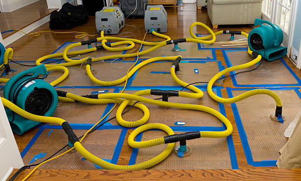 Professional Crawl Space Water Removal technician working in Hampton, MN